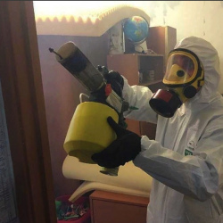 Уничтожение клопов в квартире. Юбилейный